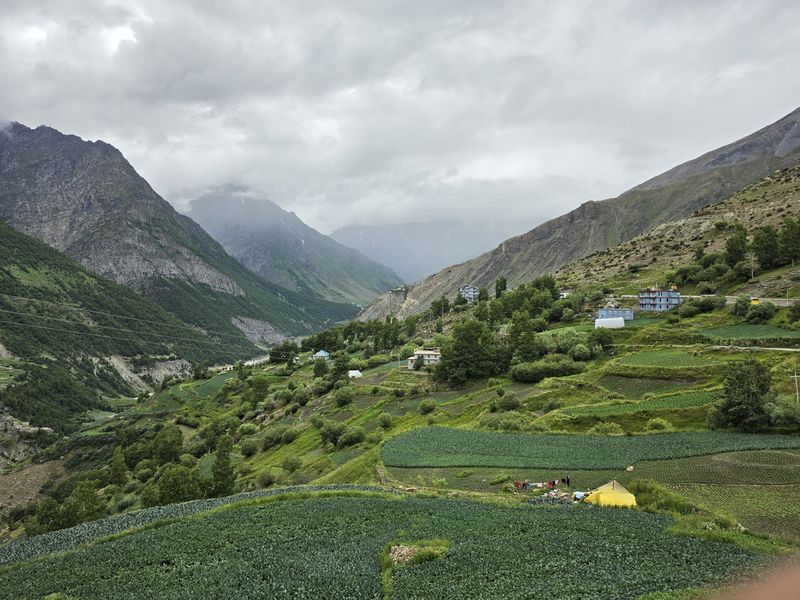Terraced green fields and mountains of the Lahaul valley near Gondhla in summer