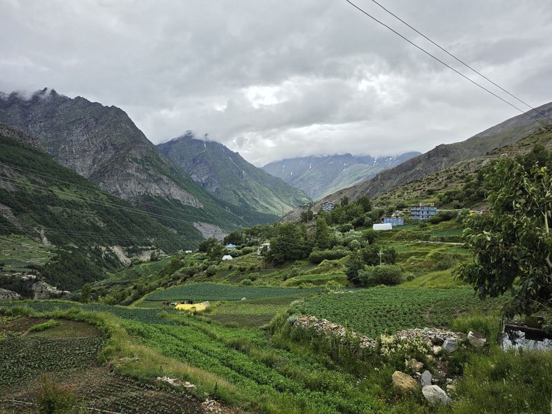 Green Lahaul valley and Himalayan peaks near Gondhla in summer