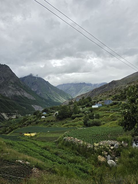 Yellow tent in a Lahaul field with mountains near Gondhla